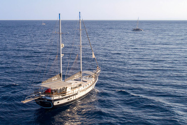 Grand Sailor Photo 5